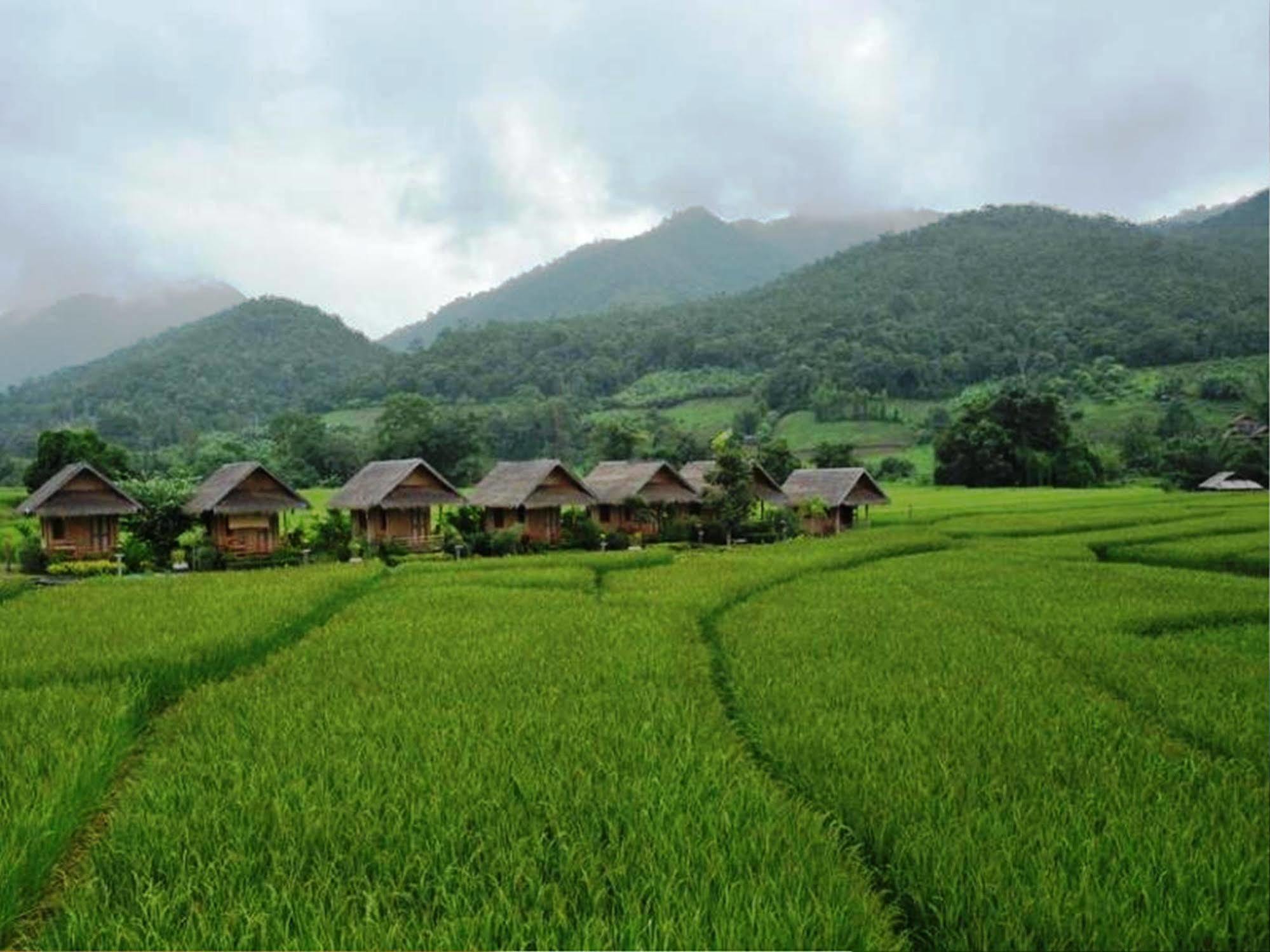 Resort Vieng Fah